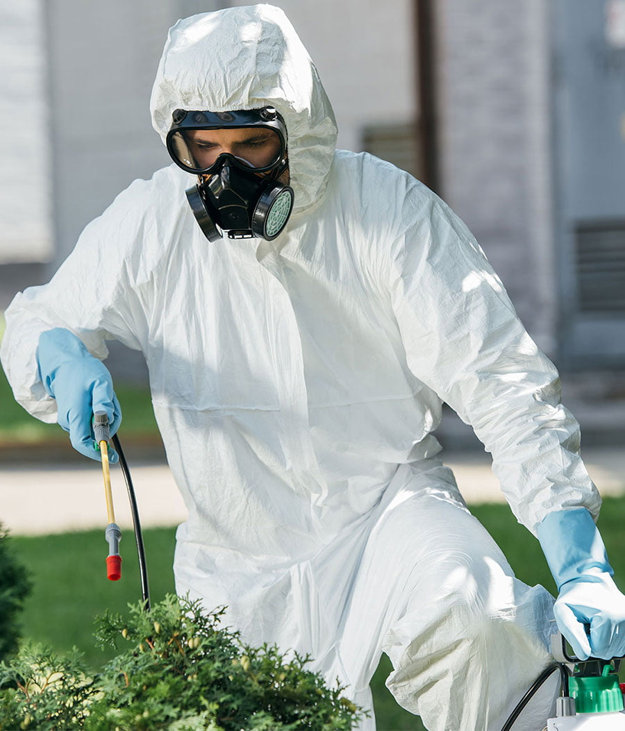 TSD Pest Control technician in uniform performing professional pest treatment