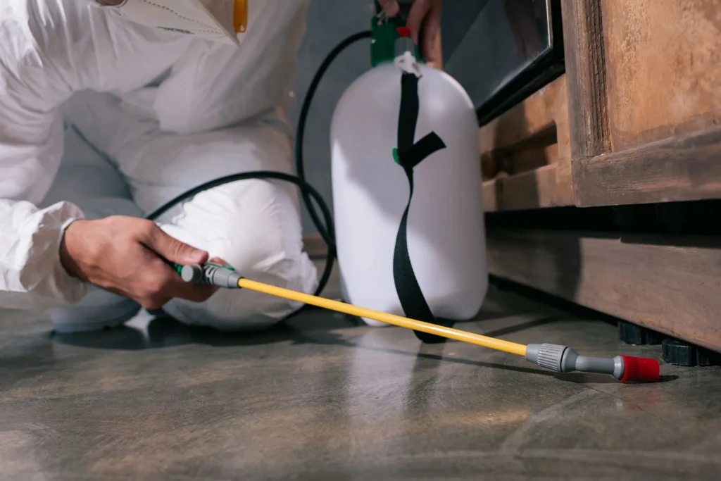 Close-up of a pest control worker spraying under a cabinet, focusing on rodent pest control in Banora Point.
