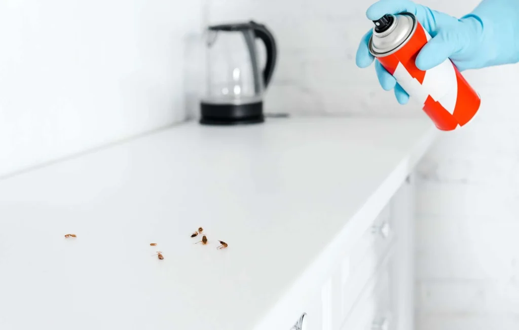 Commercial Pest Control Solutions