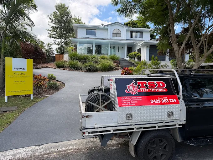 Pet-Friendly Pest Control Services in Tweed Heads