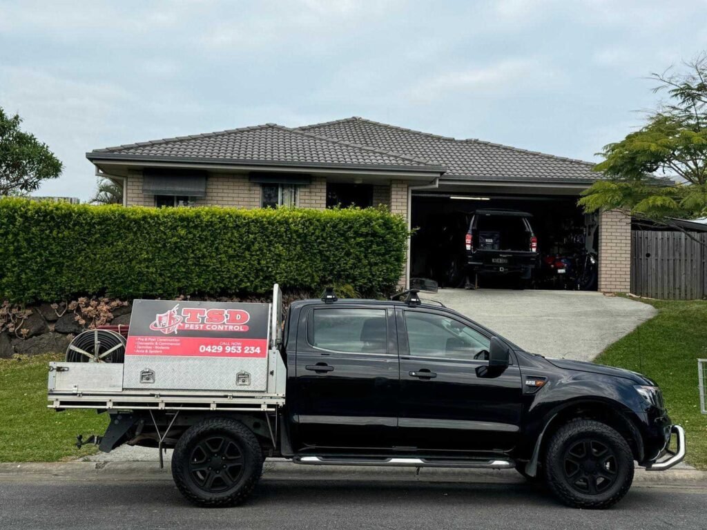 Experts inspecting a home for pests in Banora Point with professional equipment.
