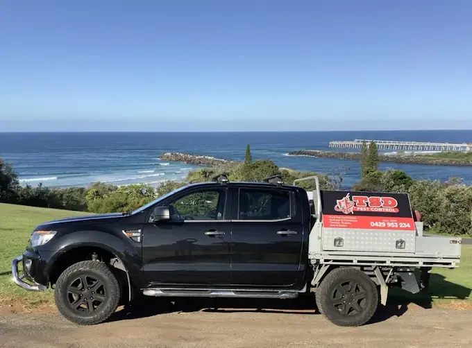 Pest control Tweed Heads NSW