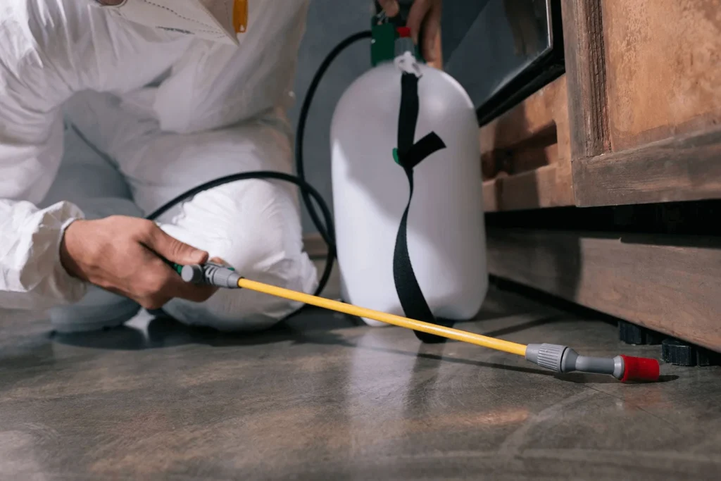 Pest control technician spraying treatment along floor edges inside home in Tweed Heads