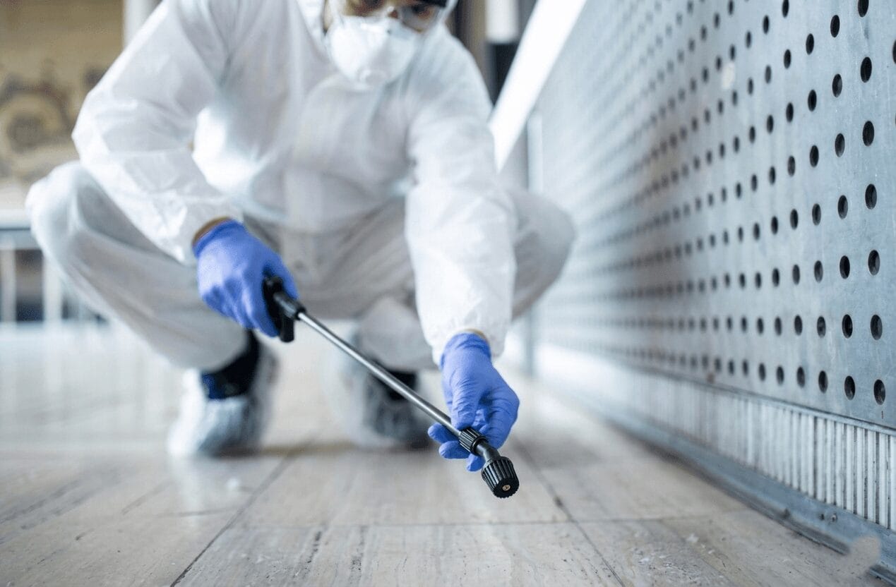 What to Do Before Pest Control Sprays for Roaches