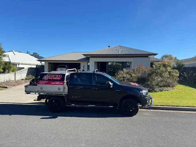 Ready to reclaim your home from pests while keeping your children safe