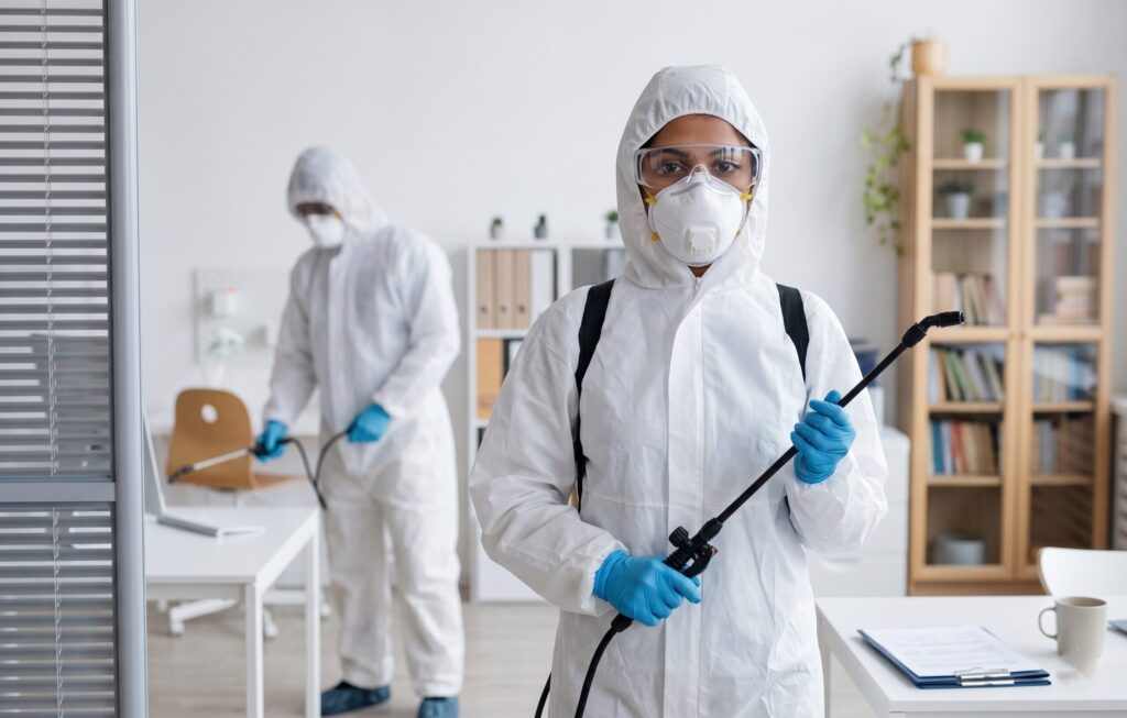 Professional pest control technicians preparing for roach treatment in Banora Point.