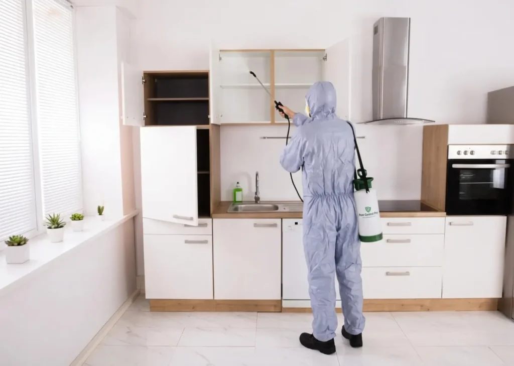 Cleaning supplies set aside while pest control spray dries on cockroach-treated areas