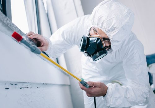 pest-control-worker-in-respirator-spraying-pestici-2021-08-29-22-51-53-5GL7KCT.jpg pest-control-worker-in-respirator-spraying-pestici-2021-08-29-22-51-53-5GL7KCT.jpg