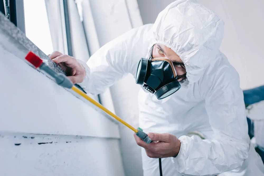 Professional applying commercial pest control solutions.