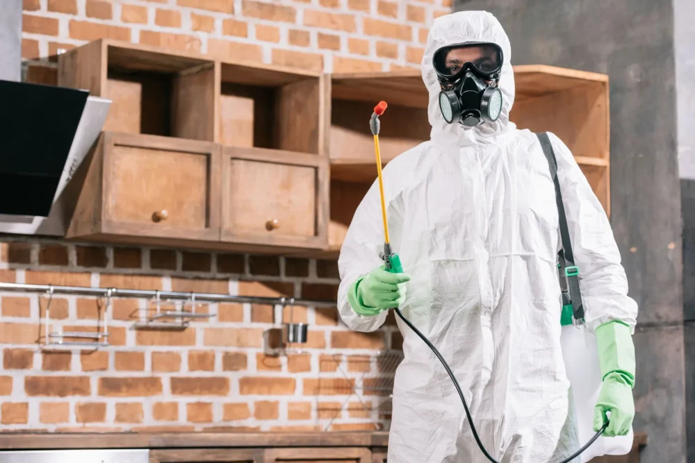 Expert explaining a pest management plan for ongoing protection.