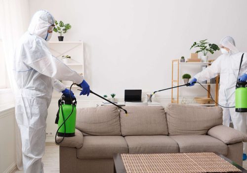 Pest Management Plans Banora Point Pest Management Plans Banora Point